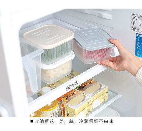 創意廚房好物 點亮烹飪樂趣，提升家居幸福感